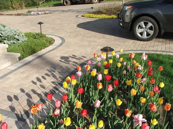 Sunnyside Landscapes Picture 6
