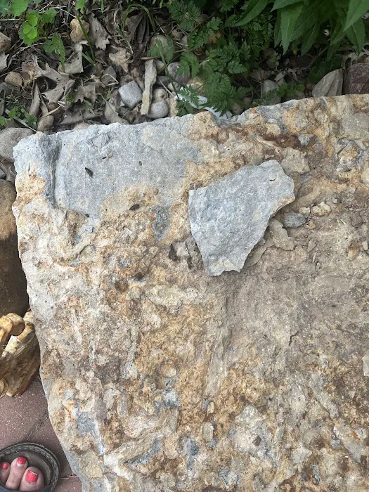Heart Rock Landscaping Picture 7