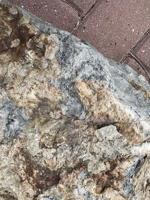 Heart Rock Landscaping Picture 3
