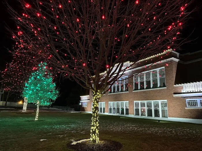 Lang Lighting and Decor LLC Picture 10