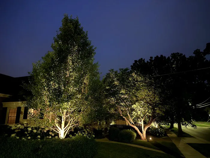 Lang Lighting and Decor LLC Picture 3