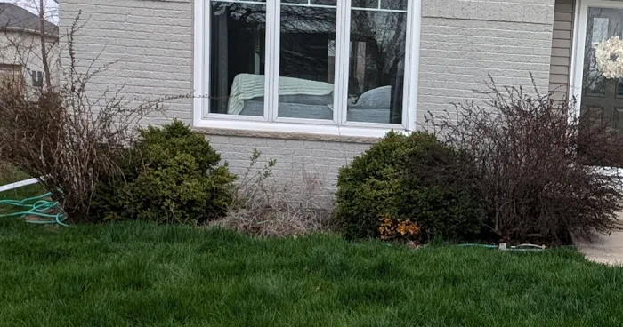 Lawn Care Plus Inc. Picture 3