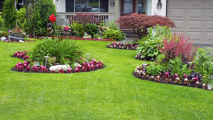 Forget-Me-Not Landscaping Picture 1