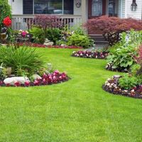 Forget-Me-Not Landscaping ico