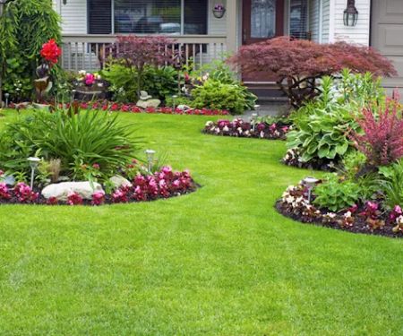 Forget-Me-Not Landscaping