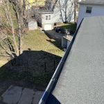 Tidy Up Landscape and Maintenance