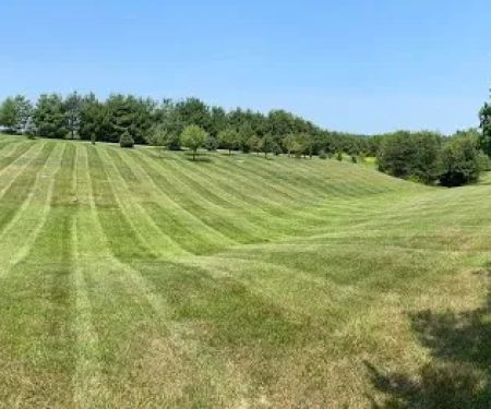 Ridge Property Maintenance