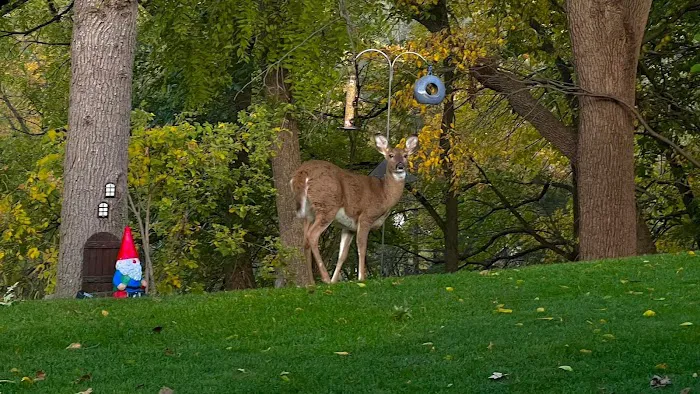 Lawn Doctor of Dubuque Picture 4