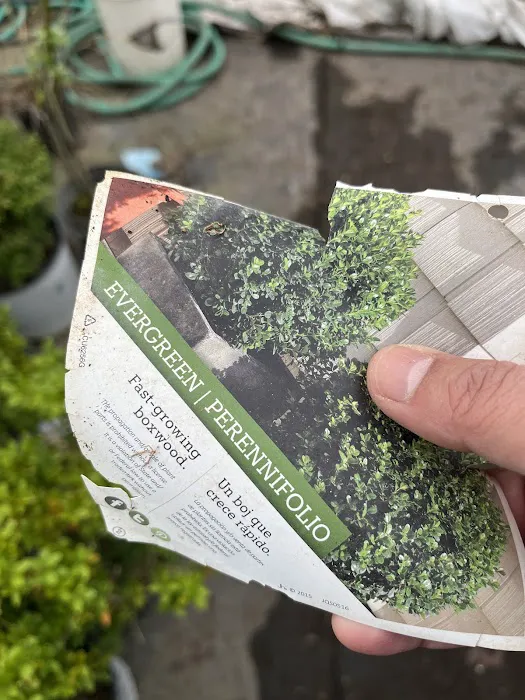 Walmart Patio & Garden Services Picture 6