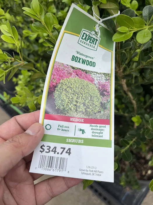 Walmart Patio & Garden Services Picture 4