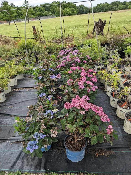 Elsner's Midwest Ornamental Nursery Picture 1