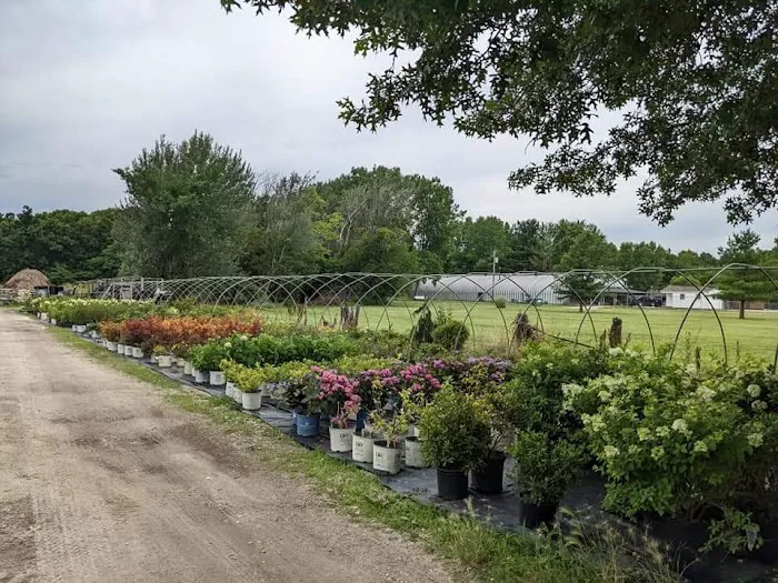 Elsner's Midwest Ornamental Nursery Picture 8