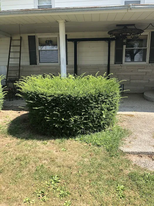 Rocket Lawn Care LLC Picture 9