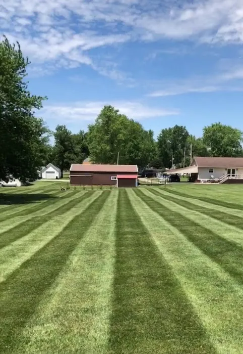 Rocket Lawn Care LLC Picture 7