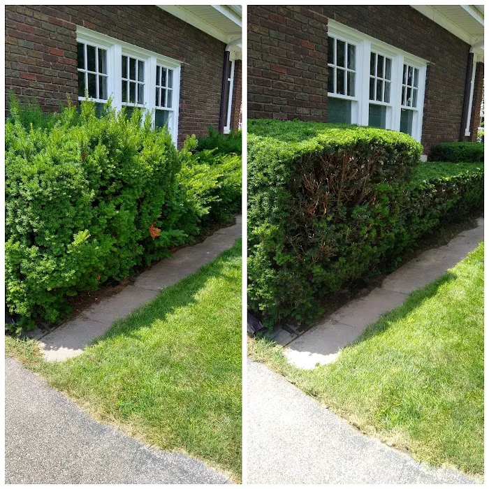 Pauwels Lawn Care Picture 5