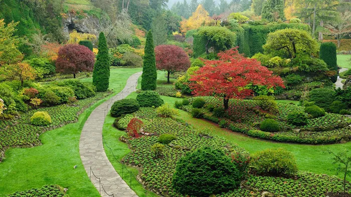 We Call It Landscaping Inc. Picture 1