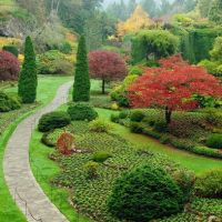 We Call It Landscaping Inc. ico