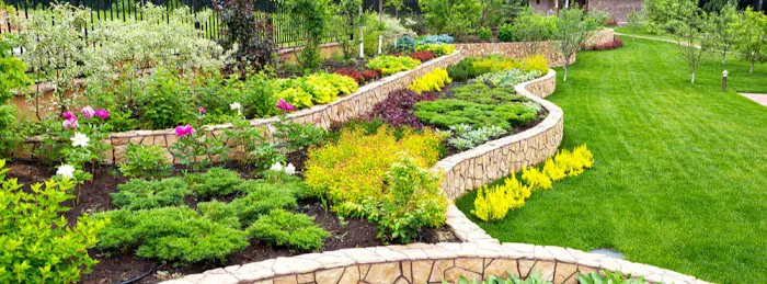 Pearl City Lawn & Pest Control Picture 4