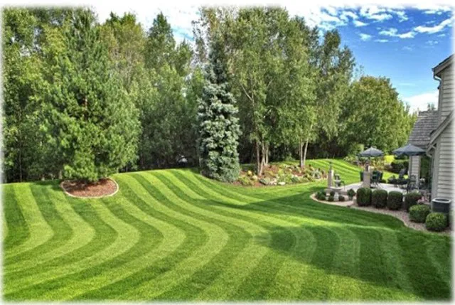 Pearl City Lawn & Pest Control Picture 5
