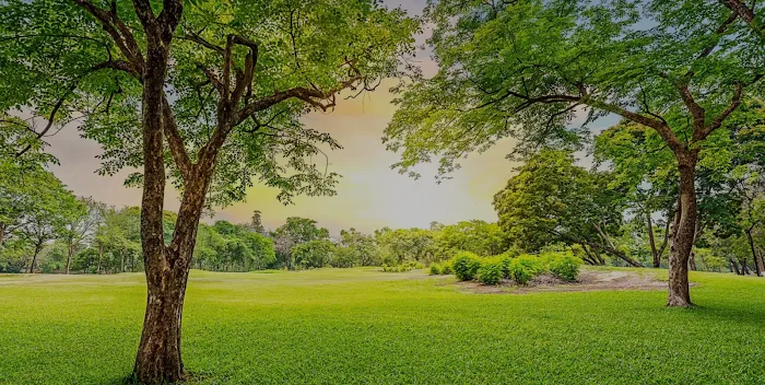 Pearl City Lawn & Pest Control Picture 1