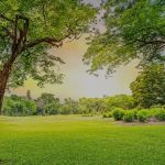 Pearl City Lawn & Pest Control
