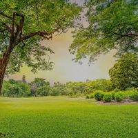 Pearl City Lawn & Pest Control ico