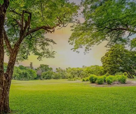 Pearl City Lawn & Pest Control