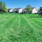 YARDS by Wes