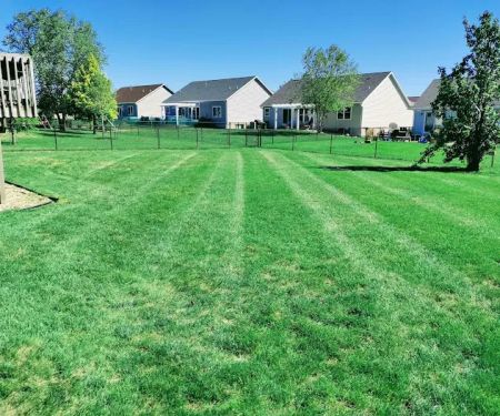 YARDS by Wes