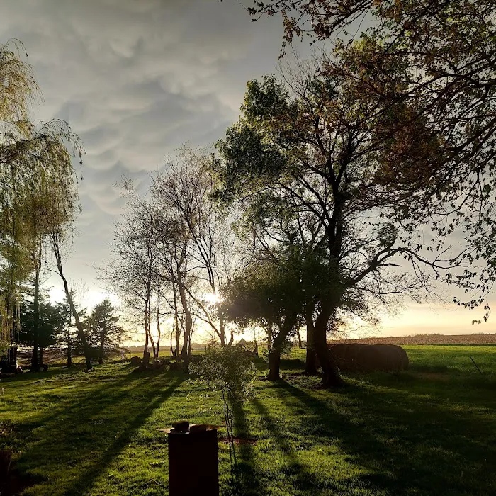 YARDS by Wes Picture 10