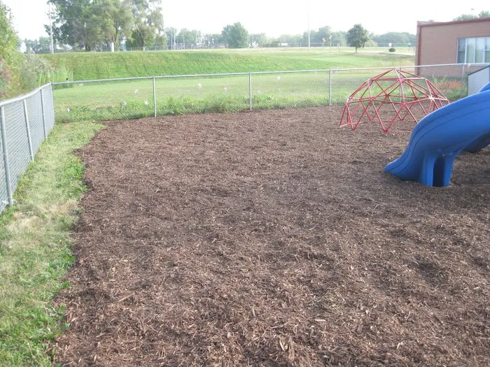 Nevada lawn care and Landscaping Picture 2