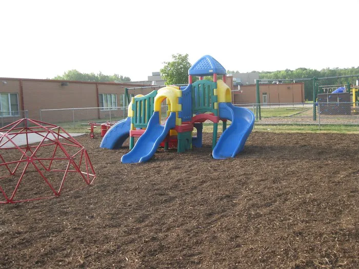 Nevada lawn care and Landscaping Picture 6