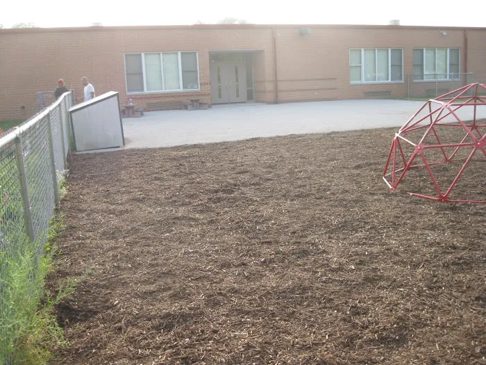 Nevada lawn care and Landscaping Picture 1