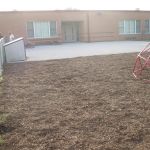 Nevada lawn care and Landscaping