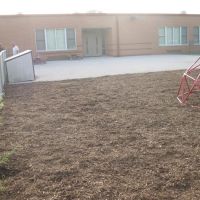 Nevada lawn care and Landscaping ico