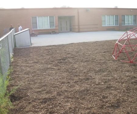 Nevada lawn care and Landscaping