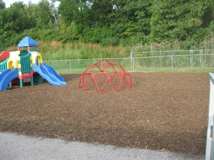 Nevada lawn care and Landscaping Picture 8