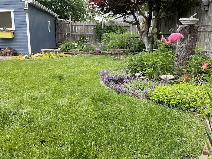 Pro Turf & Pro Pest Solutions - Davenport Picture 10