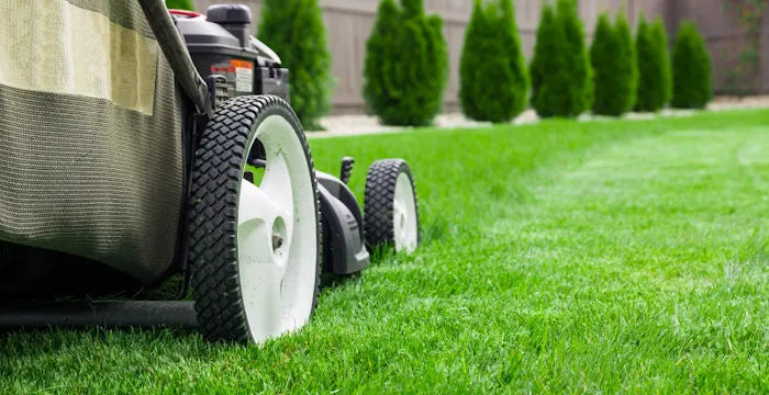 Pro Turf & Pro Pest Solutions - Davenport Picture 9