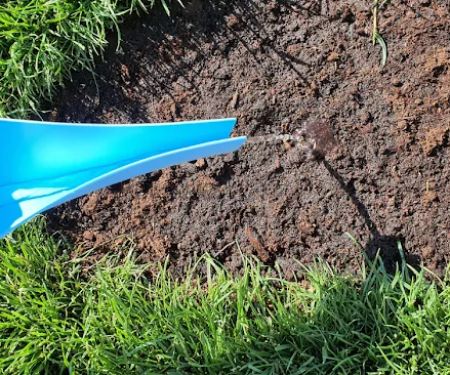 Pro Turf & Pro Pest Solutions - Davenport