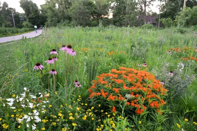 Good Oak Ecological Services Picture 8
