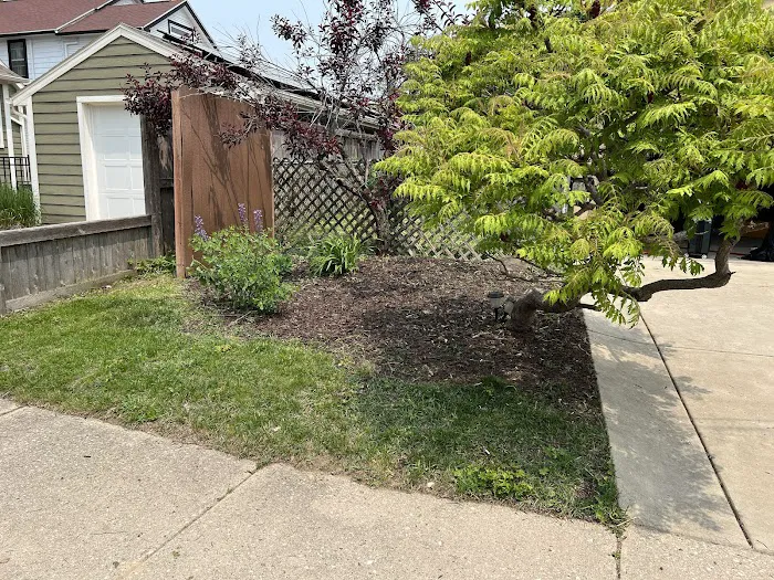 Madison Landscape And Snow Removal Picture 3