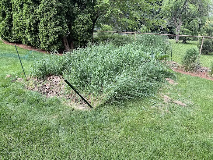 Madison Landscape And Snow Removal Picture 8