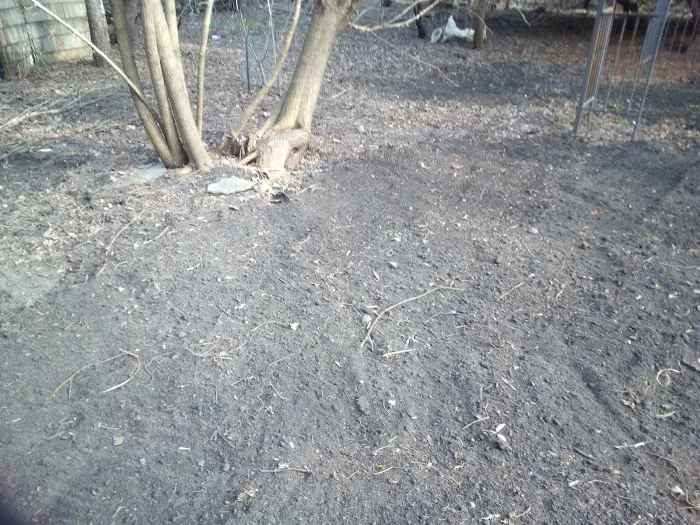 Freiberg's Hardscaping Picture 5