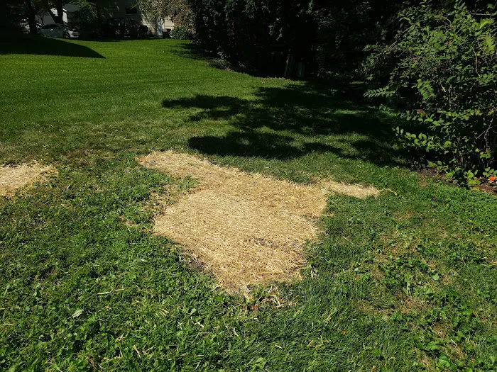 Freiberg's Hardscaping Picture 6