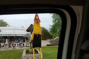 Auto Service Center