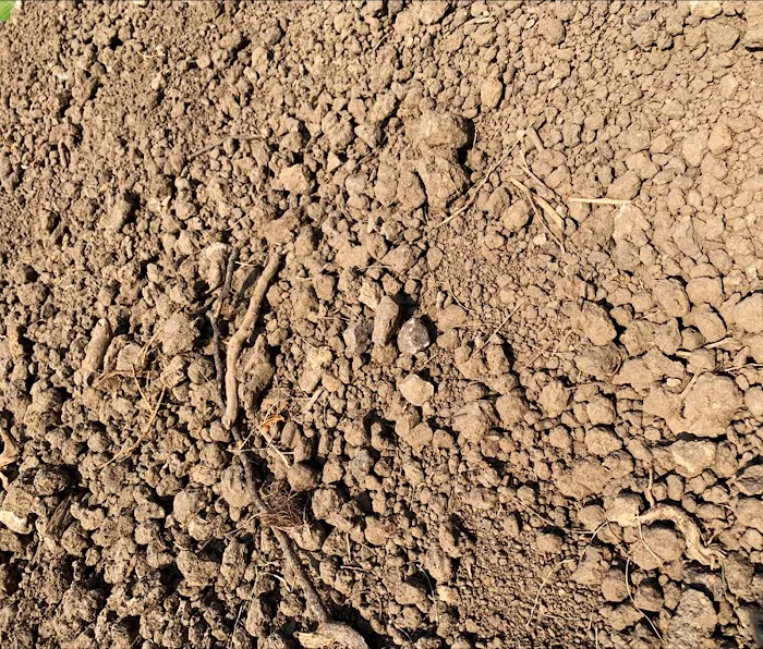 Lueder's Lawn Seeding & Trucking, Inc. Picture 5