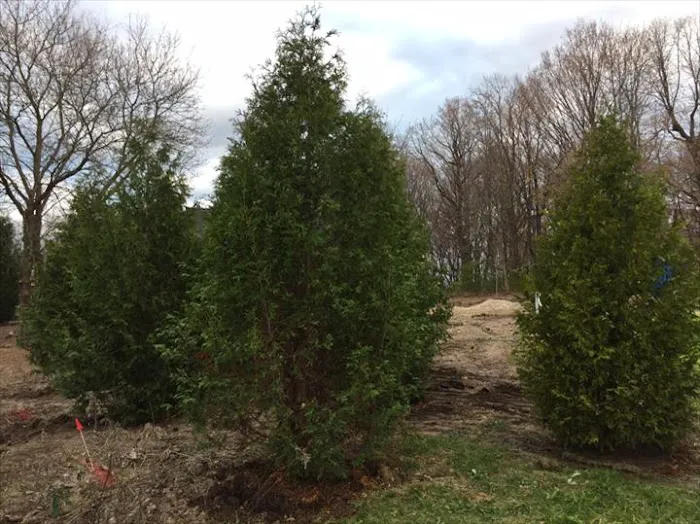 Lueder's Lawn Seeding & Trucking, Inc. Picture 10