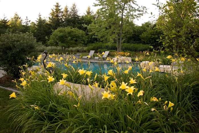 Flagstone Landscaping Picture 9