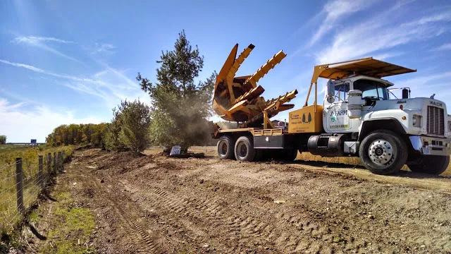 Z-Farm LLC Picture 3